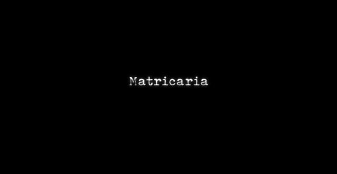 DLC後編 Matricaria ティザーPV